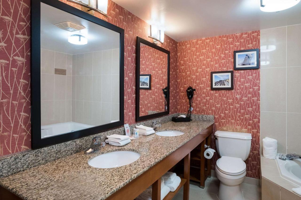 Comfort Suites Suffolk - Chesapeake Экстерьер фото